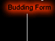 Budding Form