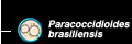 Paracoccidioides brasiliensis